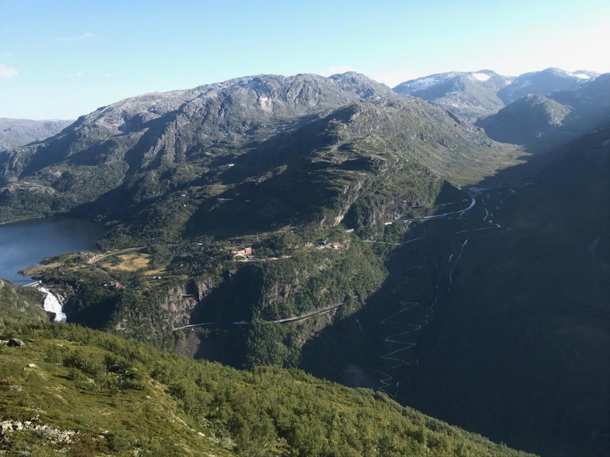 Vatnahalsen Hoyfjellshotell Myrdal Exterior foto