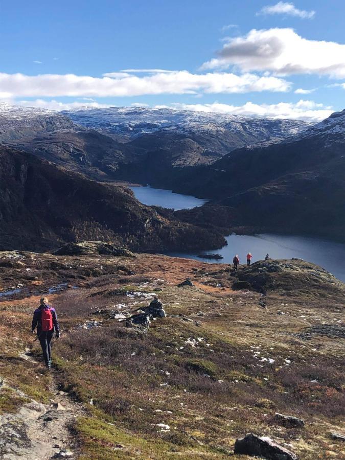 Vatnahalsen Hoyfjellshotell Myrdal Exterior foto