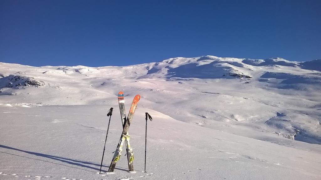 Vatnahalsen Hoyfjellshotell Myrdal Exterior foto