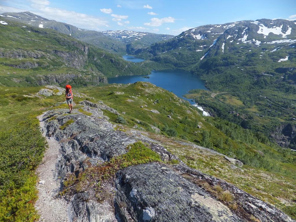 Vatnahalsen Hoyfjellshotell Myrdal Exterior foto