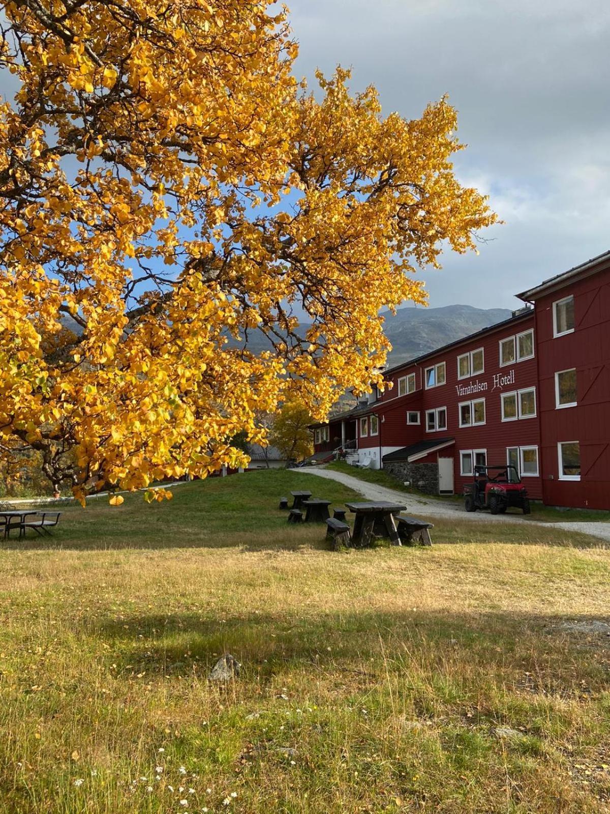 Vatnahalsen Hoyfjellshotell Myrdal Exterior foto