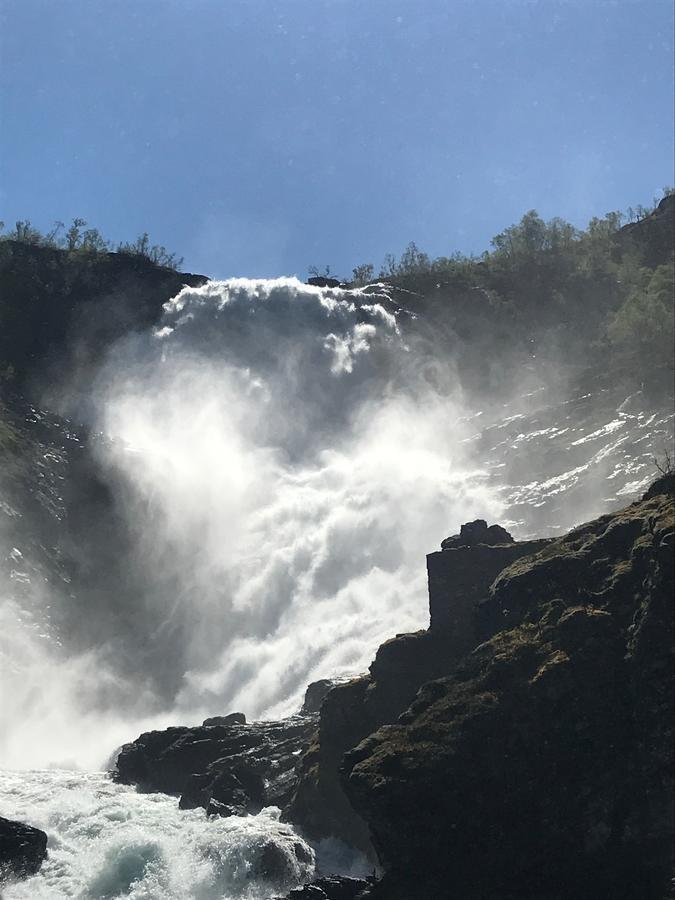 Vatnahalsen Hoyfjellshotell Myrdal Exterior foto