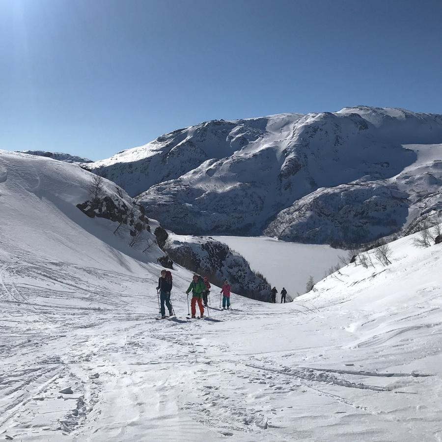 Vatnahalsen Hoyfjellshotell Myrdal Exterior foto